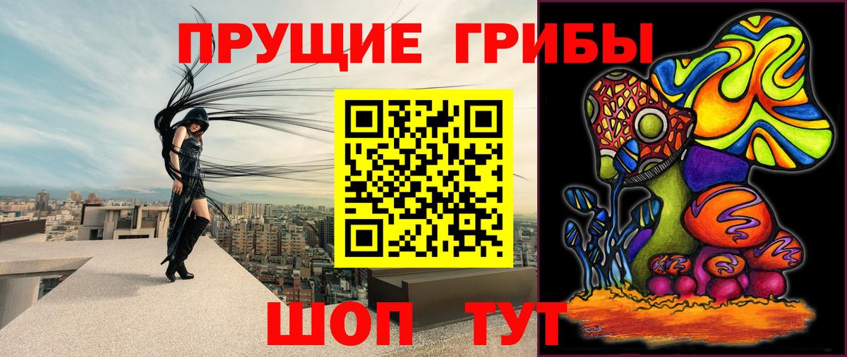 Псилоцибиновые грибы GOLDEN TEACHER Тула