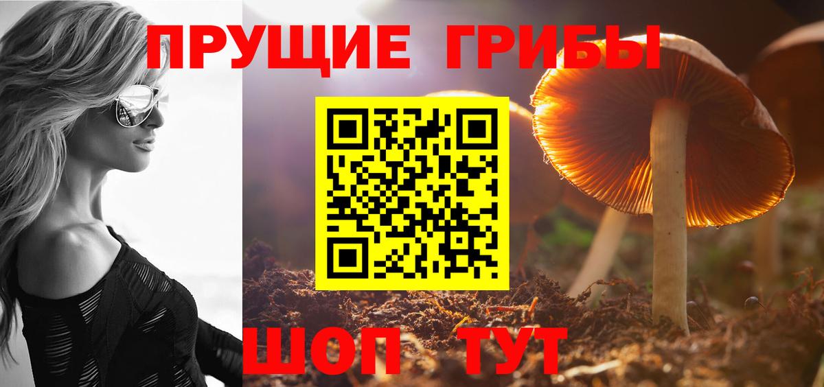 Галлюциногенные грибы GOLDEN TEACHER  Псилоцибиновые грибы мицелий  Тула  Вход с VPN 